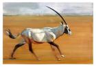 Galloping Oryx, 2010 (oil on paper)