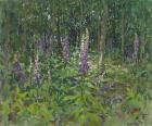 Foxgloves (oil on canvas)