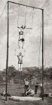 Trapeze artists in the 19th century, from The Century Magazine, published 1887 (engraving)