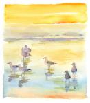 Seagulls on beach, 2014, (watercolor)