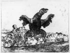 The Carnivorous Vulture, plate 76 from 'The Disasters of War', 1812-20 (etching)