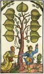 16th century German playing card. From Illustrierte Sittengeschichte vom Mittelalter bis zur Gegenwart by Eduard Fuchs, published 1909.