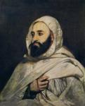 Portrait of Abd el-Kader (1808-83) (oil on canvas)