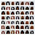 49 Cavalier King Charles Spaniels, 2015 (oil on canvas)