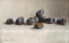 Twelve Plums, 1896 (oil on canvas)