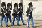 Guards at Amalienborg Palace, Copenhagen, Denmark (photo)