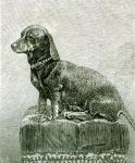 The Dog Jacob, from 'The Illustrated London News', 3rd November 1883 (litho) (b/w photo)