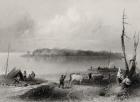 Navy Island, Niagara River, Ontario, Canada, engraved by Charles Coulson (1815-89) (engraving)