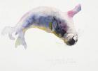 Young grey seal, Gweek, 2003 (w/c on paper)