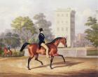 The Marquis of Anglesea on Horseback in Hyde Park, in his 80th year, engraved by J. Harris, 1847 (colour engraving)