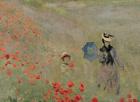 Wild Poppies, near Argenteuil (Les Coquelicots: environs d'Argenteuil), 1873 (oil on canvas) (detail of 7998)