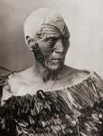 A Maori Chief from New Zealand. The tattoo on his face is not quite complete, but the grooves in the skin produced by the peculiar method of Maori tattooing are very distinct. He wears a cloak of flax leaves of a type which affords very efficient protecti