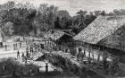 Workers on a Coffee Plantation (engraving) (b&w photo)