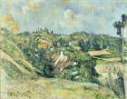 Auvers-sur-Oise, seen from the Val Harme, 1879-82 (oil on canvas)