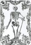 Skeleton with a Shovel (woodcut) (b/w photo)