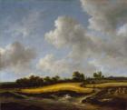 Landscape with a Wheatfield, c.1660