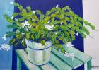 Christmas Cactus,2000 (gouache)