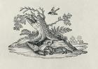 A Civet with a Cockerel from 'History of Quadrupeds', 1790 (engraving)
