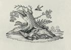 A Civet with a Cockerel from 'History of Quadrupeds', 1790 (engraving)