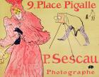 P. Sescau Photographe (poster), 1894 (five colour print lithograph with brush, crayon and spatter technique)