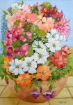 Petunias, Geraniums and Fuchsias in a Terrace Pot, 2005, (watercolour)