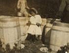 Mary Christmas, only 3, made to pick cranberries spilt at the barrels by her grandfather, Week's Bog, Falmouth, Massachusetts, 1911 (b/w photo)
