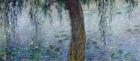 Waterlilies: Morning with Weeping Willows, detail of the right section, 1915-26 (oil on canvas) (see also 162347-8)