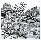 View of Portugal from the 'Nuremberg Chronicle' 1493 (woodcut)