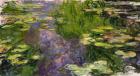 Waterlilies (oil on canvas)