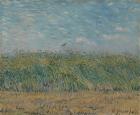 Wheatfield with Partridge, 1887 (oil on canvas)