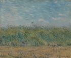 Wheatfield with Partridge, 1887 (oil on canvas)