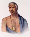 Lap-Pa-Win-Soe, a Delaware Chief, illustration from 'The Indian Tribes of North America, Vol.1', by Thomas L. McKenney and James Hall, pub. by John Grant (colour litho)