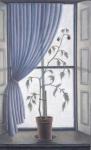 Plant in Window, 2003 (oil on canvas)