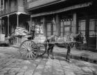 A New Orleans milk cart, New Orleans, La.