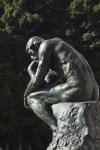 The Thinker (bronze)