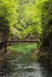 Visitors walking on wooden walkways which run the length of the Vintgar Gorge near Bled, Triglav, National Park, Upper Carniola, Slovenia (photo)