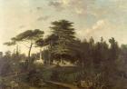 The Cedar of Lebanon in the Jardin des Plantes (oil on canvas)