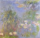 Water-Lilies, Cluster of Grass, 1914-17 (oil on canvas)