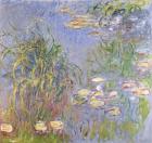 Water-Lilies, Cluster of Grass, 1914-17 (oil on canvas)