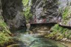 Visitors walking on wooden walkways which run the length of the Vintgar Gorge near Bled, Triglav, National Park, Upper Carniola, Slovenia (photo)