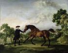 The Duke of Ancaster's bay stallion "Blank", held by a groom, c.1762-5