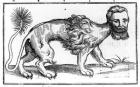 Manticore from 'Historie of Foure-Footed Beastes' by Edward Topsell, published 1607 (woodcut)