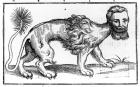 Manticore from 'Historie of Foure-Footed Beastes' by Edward Topsell, published 1607 (woodcut)