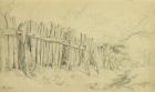 Windsor Park Paling (black chalk heightened with white)