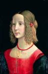 Portrait of a Girl, c.1490 (tempera on panel)