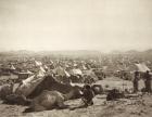 Pilgrim Camp in the plain east of Mount Arafah, 1889 (albumen print)