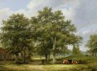 Cattle Grazing (oil on panel)