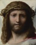 Head of Christ, c.1530 (oil on panel)