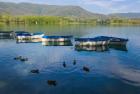 Banyoles, Spain. The lake (photo)