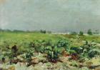 Celeyran, View of the Vineyard, 1880 (oil on canvas)